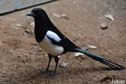 Zoo de Castellar