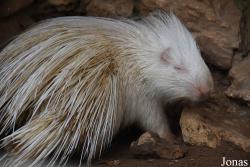 Zoo de Castellar