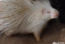 Zoo de Castellar