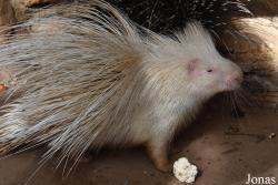 Zoo de Castellar