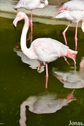 Zoobotánico Jerez