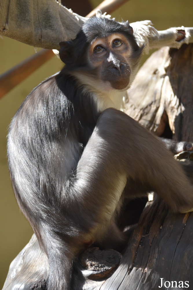 Zoobotánico Jerez