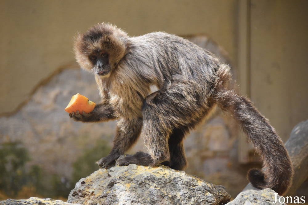 Zoobotánico Jerez