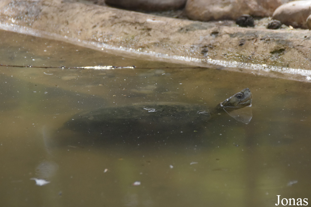 Zoobotánico Jerez
