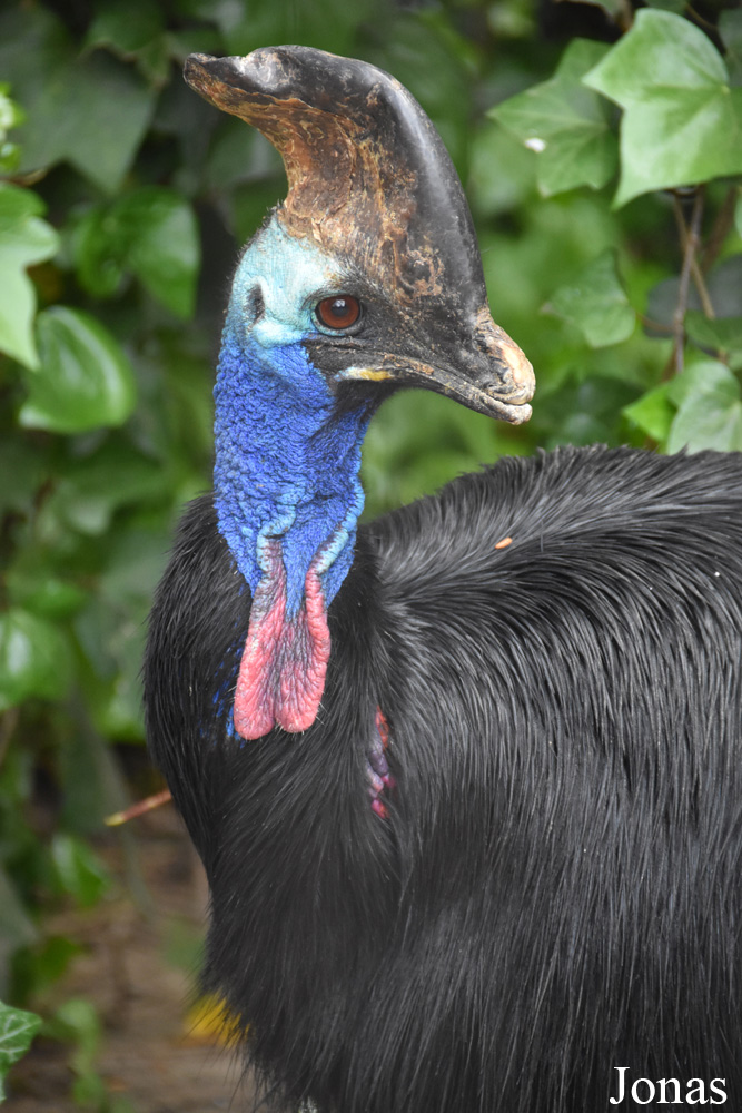 Zoobotánico Jerez
