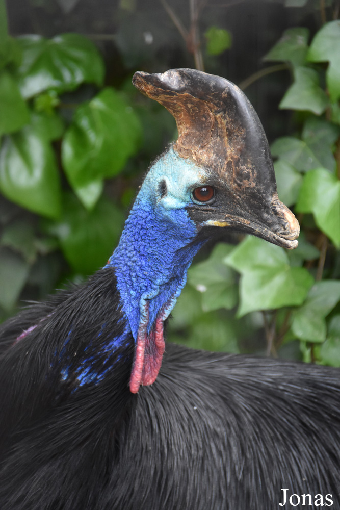 Zoobotánico Jerez