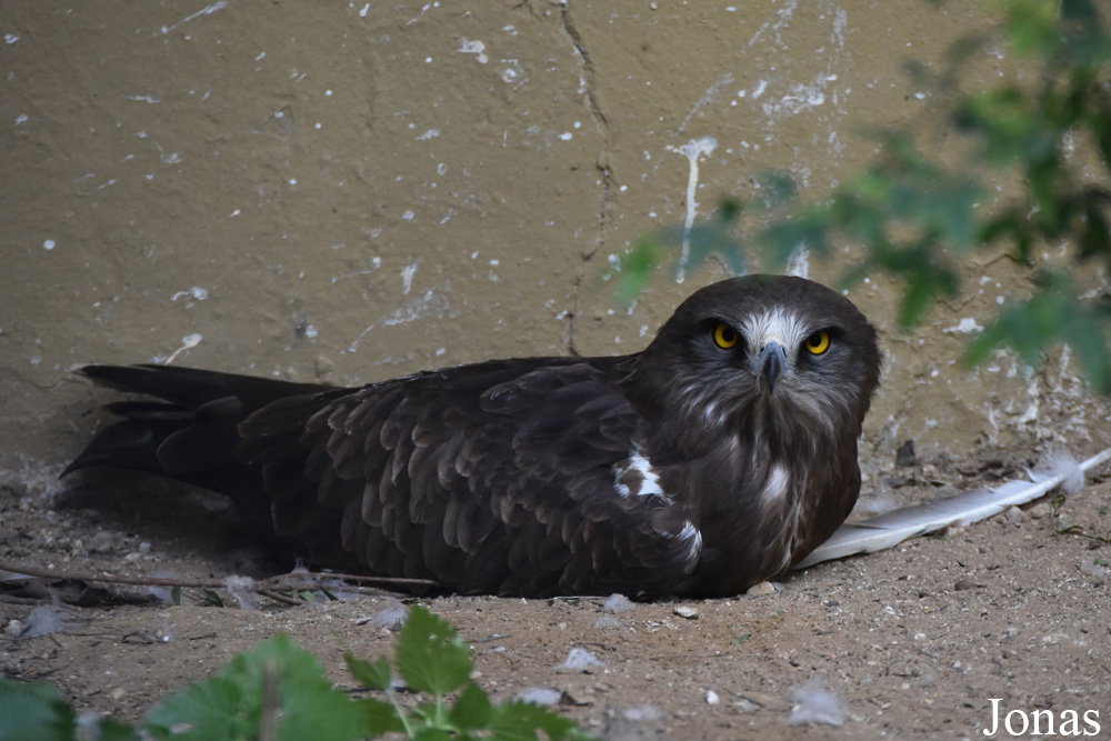Zoobotánico Jerez