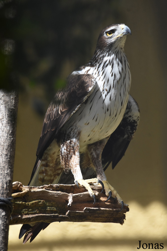 Zoobotánico Jerez