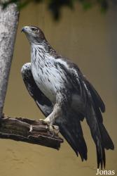 Zoobotánico Jerez