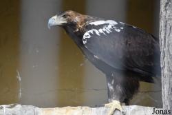 Zoobotánico Jerez