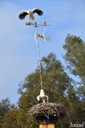 Cañada de los Pájaros