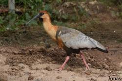 Cañada de los Pájaros
