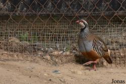 Cañada de los Pájaros