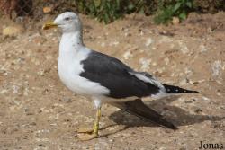 Cañada de los Pájaros