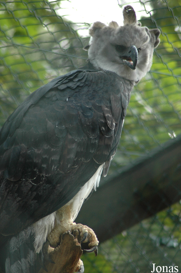 Vogelpark Walsrode