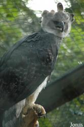 Vogelpark Walsrode