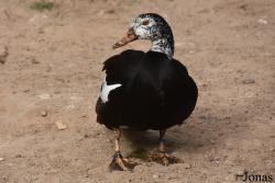 Cañada de los Pájaros