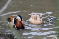 Cañada de los Pájaros