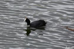 Cañada de los Pájaros
