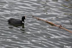 Cañada de los Pájaros