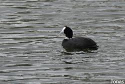 Cañada de los Pájaros