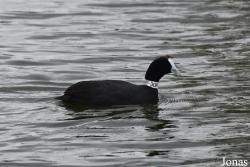 Cañada de los Pájaros