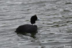 Cañada de los Pájaros