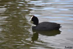 Cañada de los Pájaros