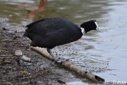 Cañada de los Pájaros