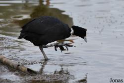 Cañada de los Pájaros