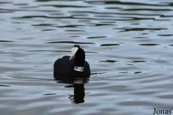 Cañada de los Pájaros