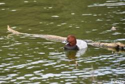 Cañada de los Pájaros