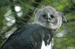 Vogelpark Walsrode