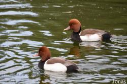 Cañada de los Pájaros