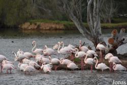 Cañada de los Pájaros