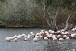 Cañada de los Pájaros