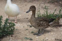 Cañada de los Pájaros