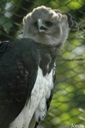 Vogelpark Walsrode
