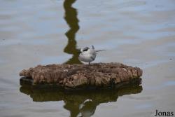 Cañada de los Pájaros