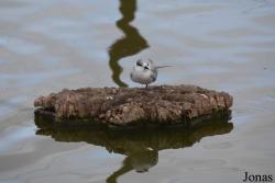 Cañada de los Pájaros