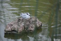Cañada de los Pájaros