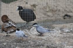 Cañada de los Pájaros