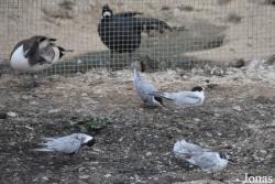 Cañada de los Pájaros