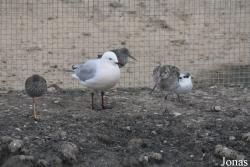Cañada de los Pájaros