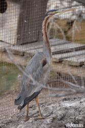 Cañada de los Pájaros