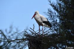 Doñana National Park