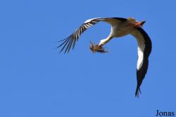 Doñana National Park