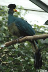 Vogelpark Walsrode