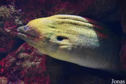 Acuario de Sevilla