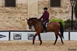Caballerizas Reales de Córdoba